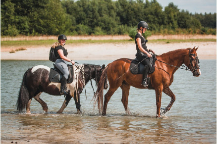 Vakantieboerderij Hoeve Heide en Wold met hottub direct aan ruiterroutes VMP010